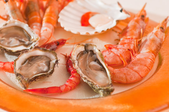 Gamberetti