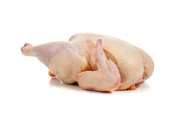 Raw chicken on a white background