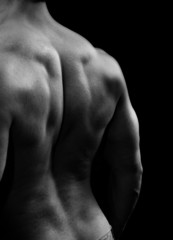 Muscular man with strong back muscles