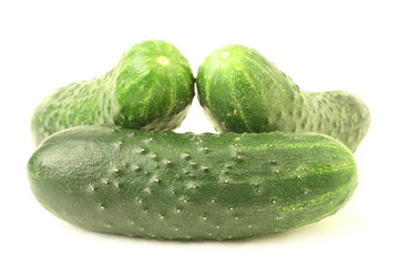 cucumber isolated on white background