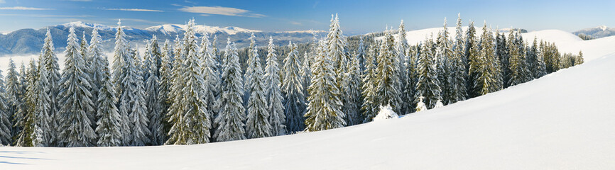 winter mountain landscape (panorama)