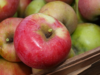 Äpfel 10083