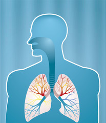 Lungs
