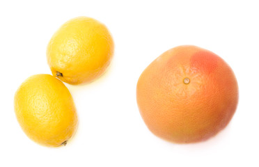 Grapefruit and lemon