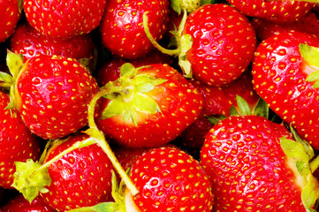 Lots of strawberries arranged as the background