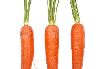 Three carrots on a white background