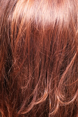 Fototapeta premium hair split ends with selective focus against hair texture