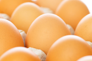 Chicken eggs in the carton