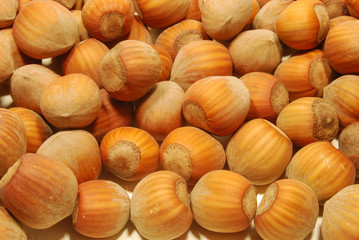 Nocciole
