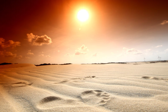 desert footprint