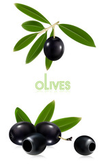Photorealistic vector illustration. Black olives with leaves.