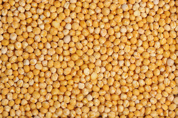 Pea, isolated