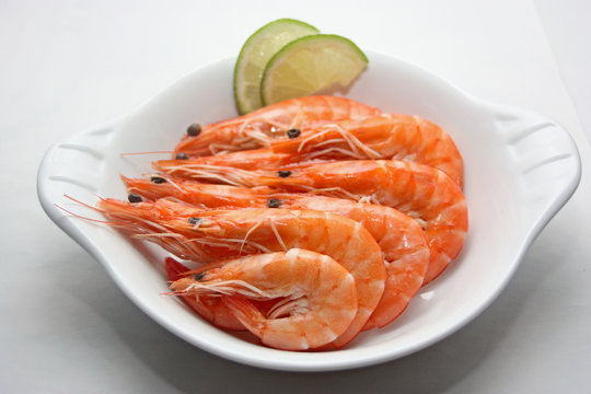 crevettes