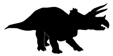 triceratops © Perysty