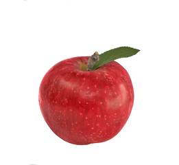 isolated apple