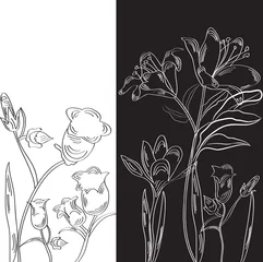 Cercles muraux Fleurs noir et blanc Carte décorative en noir et blanc