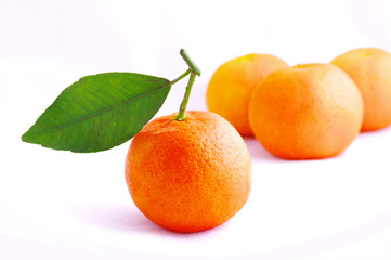 Tangerine with leaves on a white background