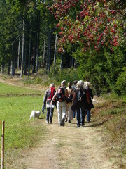 Obraz premium Wandergruppe