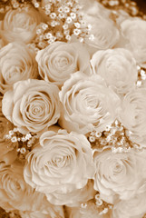 fondo rosas