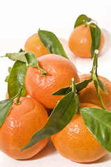Mandarinas recien cortadas 3
