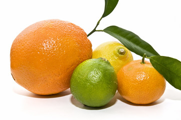 composicion de citricos frescos