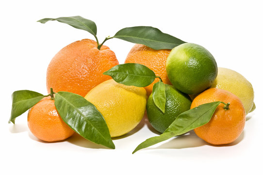 Citricos recien cortados con sus hojas