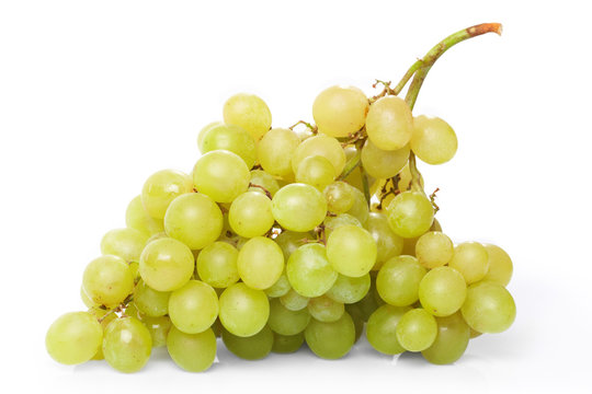 Branch of green grapes on the white background