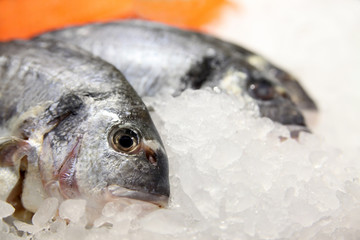 Fresh fish