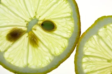 Dekokissen Zitronenscheibe auf weissem Hintergrund © Nailia Schwarz