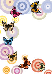 Fototapeta premium farfalle