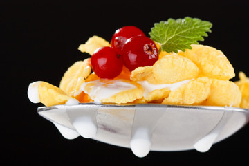 Corn flakes on the spoon with milk