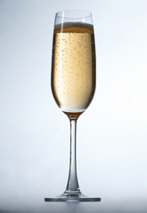 Glass of Champagne