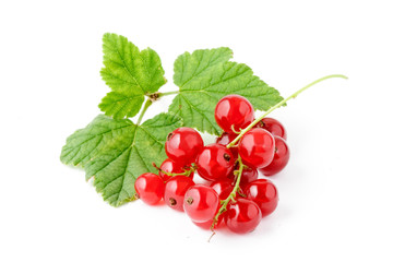 Red Currant.  isolated on White background