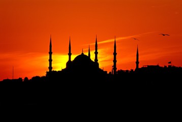 Blue Mosque in Evening