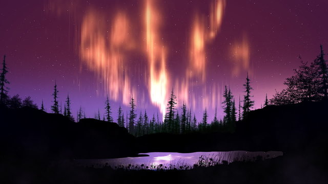 aurora borealis over forest