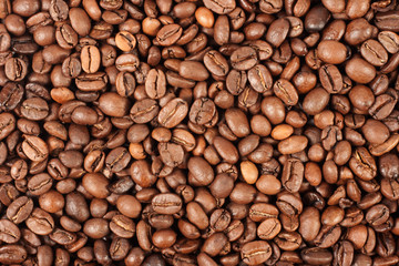 coffee beans background