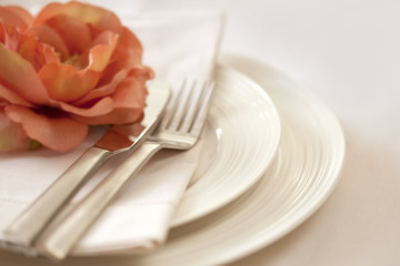 Place Setting
