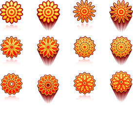 Fototapeta premium floral design collection