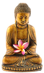statuette dorée bouddha fleur frangipanier fond blanc