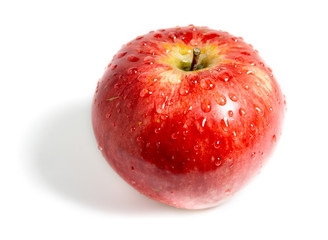 Apple with water drops