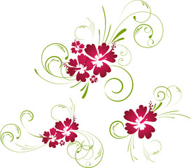 Colorful hibiscus floral elements