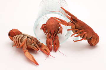 Three red cooked crayfishes with glass
