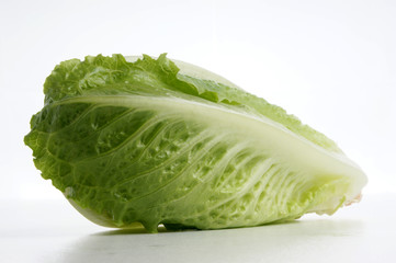 fresh organic pak choi on a white background