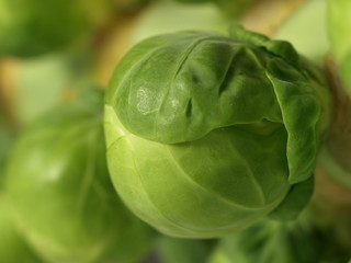 Closeup of brussel sprout.