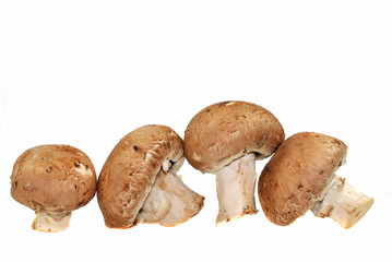 braune Champignons