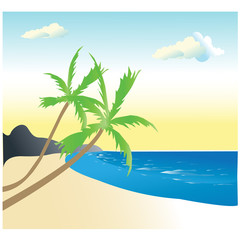 Fototapeta na wymiar Beach and palm tree
