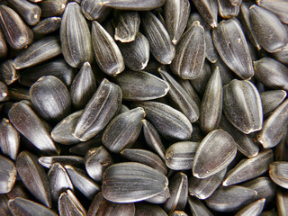 Sunflower seeds.