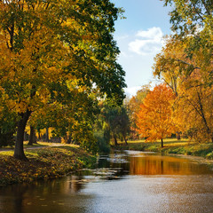 Tranquil river