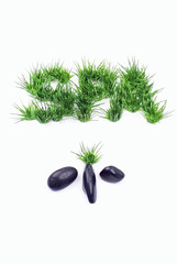 spa - espace relaxation