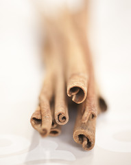 Cinnamon sticks selective focus
